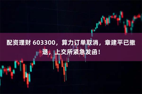 配资理财 603300，算力订单取消，章建平已撤退，上交所紧急发函！