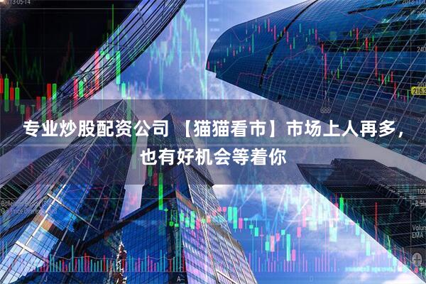 专业炒股配资公司 【猫猫看市】市场上人再多，也有好机会等着你